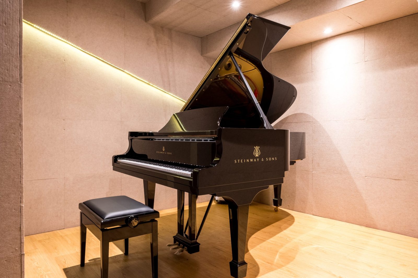 Fairview Dominus (Colour)-1