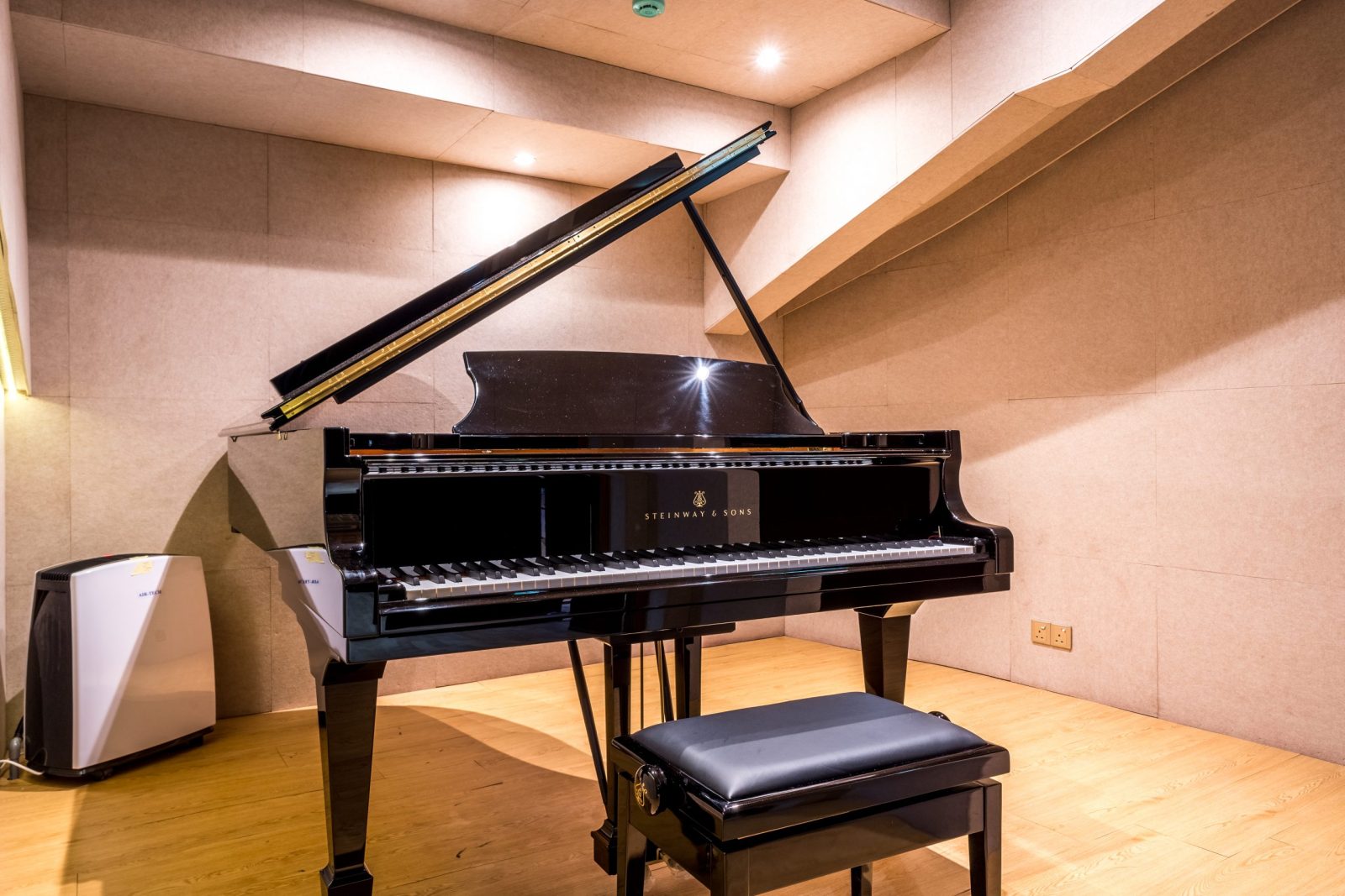 Fairview Dominus (Colour)-2